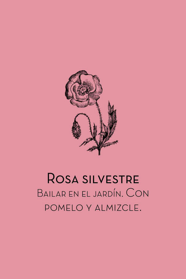 Womensecret Ambientador mikado rosa silvestre white
