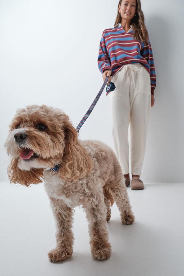 Women'secret Striped dog leash blue