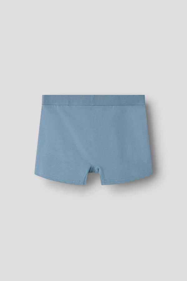 Name it Pokemon boxers blue