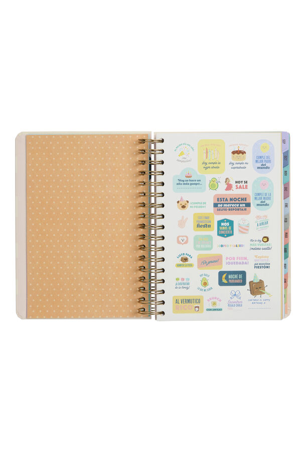 Mr. Wonderful Agenda Wonder 2023-2024 Diaria Rosa  printed