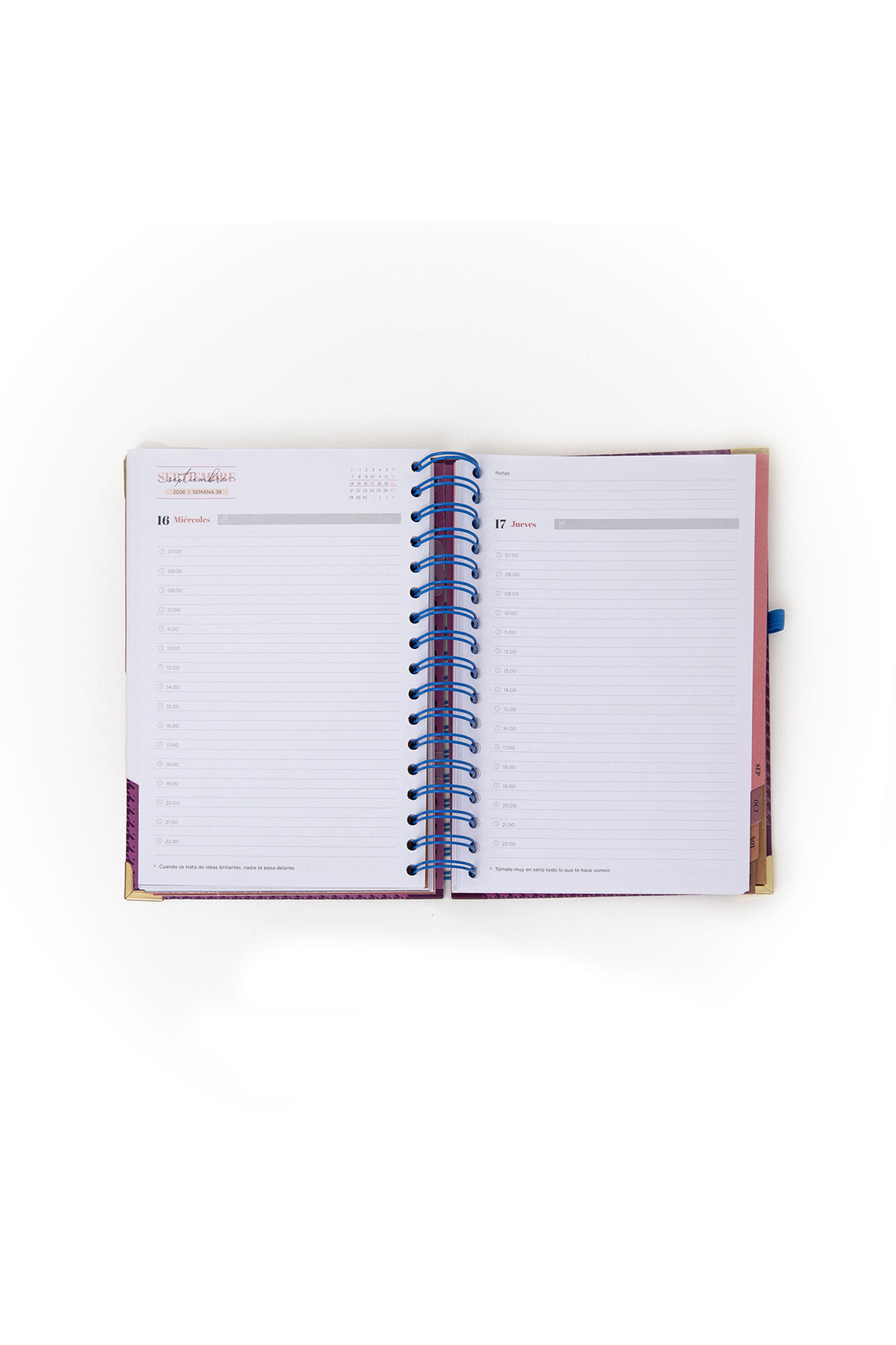 Mr. Wonderful Set de Agenda Office 2026 Diaria + boli - La vida es hoy