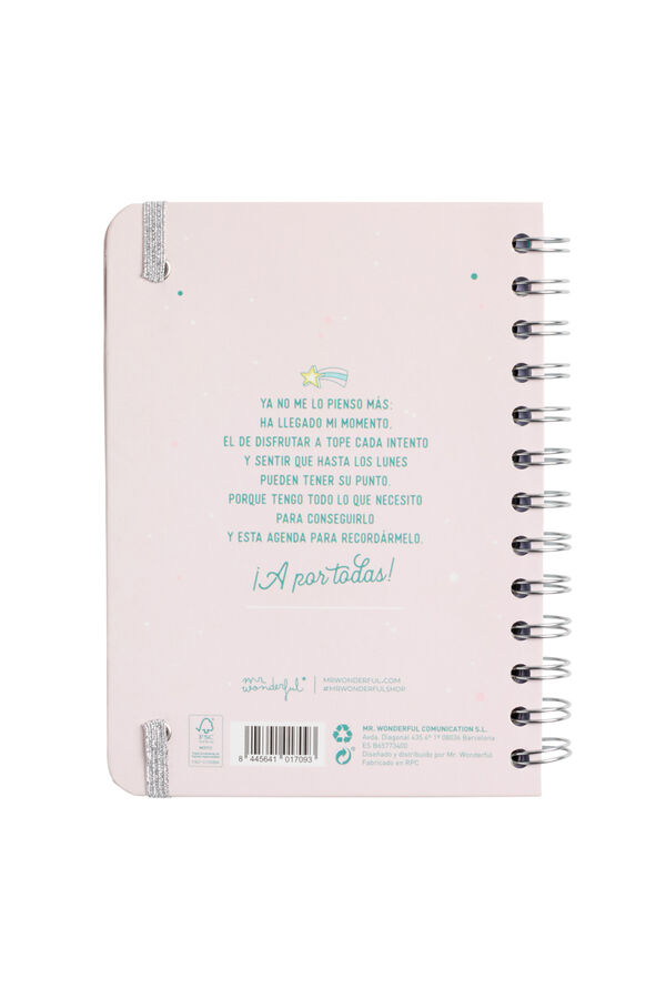 Mr. Wonderful Classic small 2023 diary printed