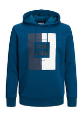 Womensecret Logo print sweatshirt with hood bleu