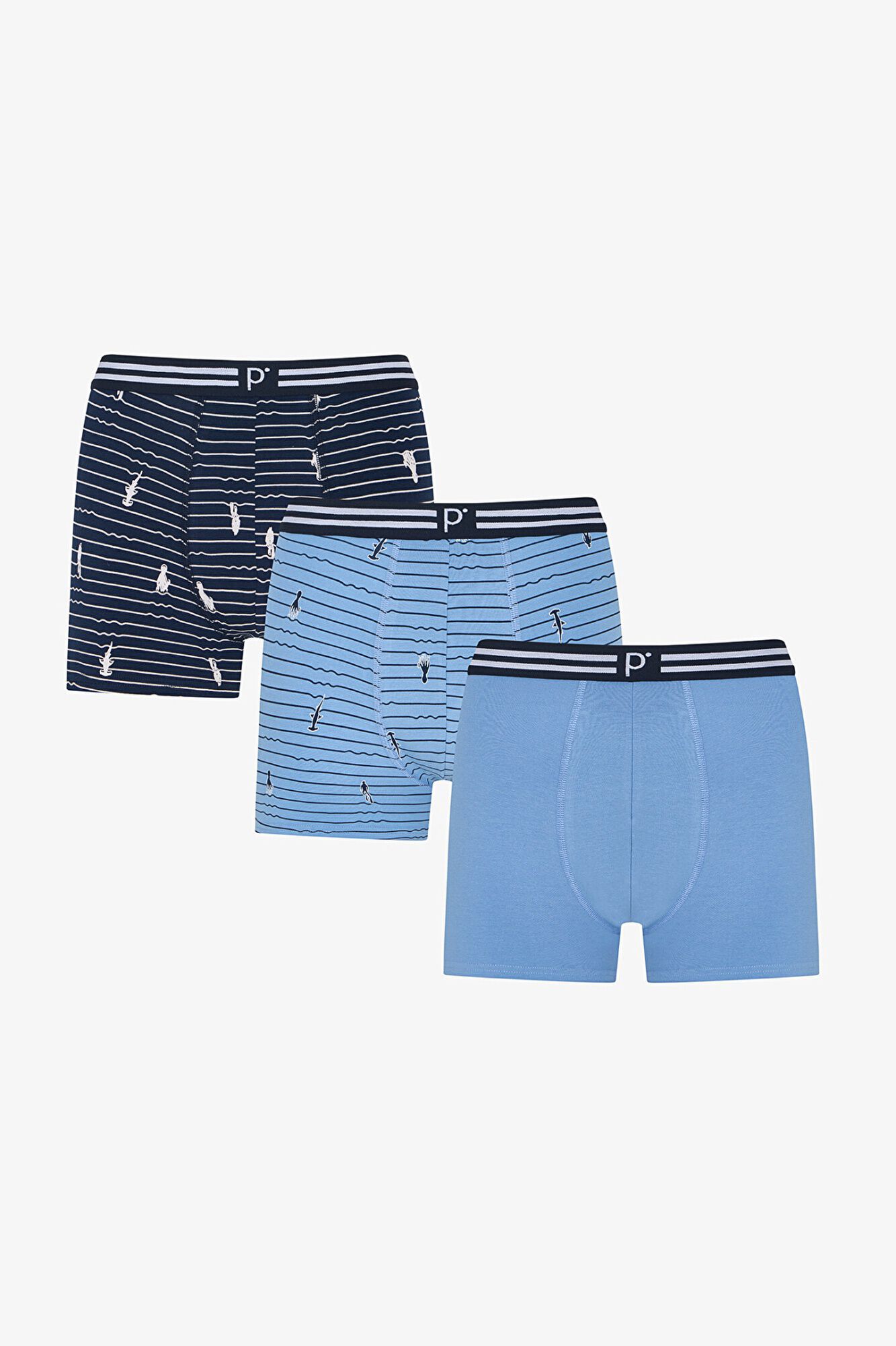 Penti Pack 3 boxers estampados azul marinho e azul celeste