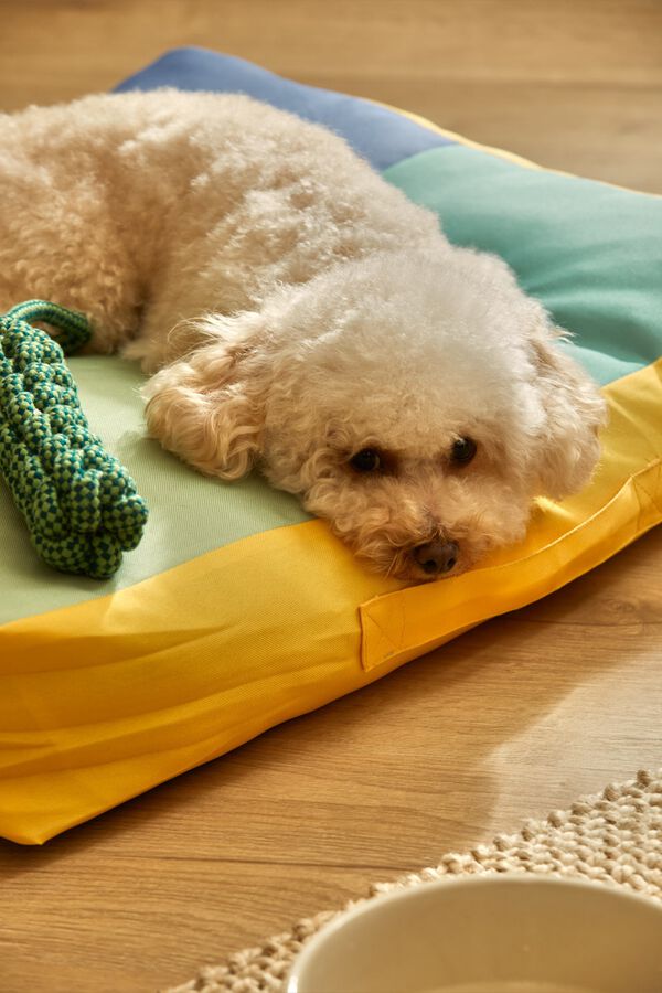 Calma House Turquoise Buby pet cushion 60x40x12 blue