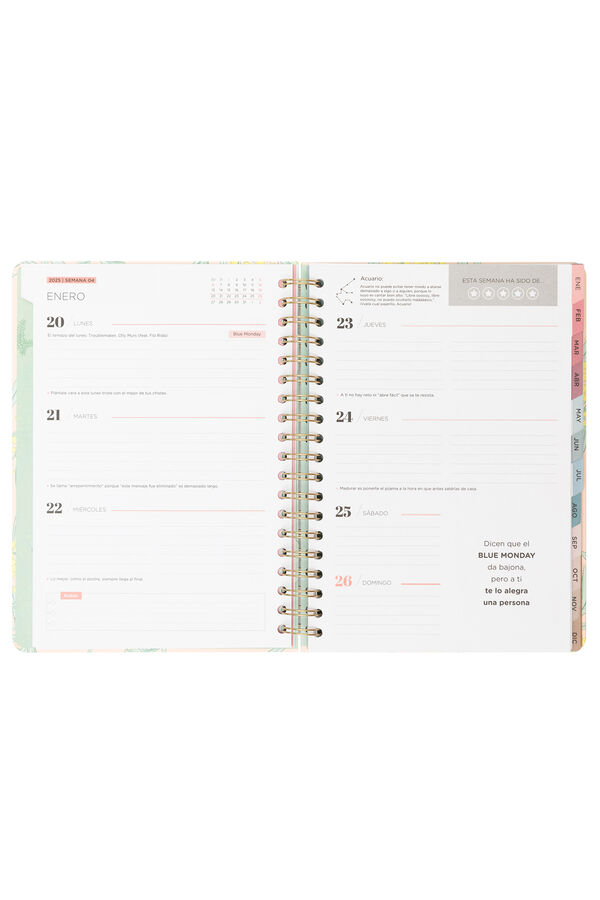 Mr. Wonderful Office 2025 Extra Large Weekly Diary - Let the magic begin printed