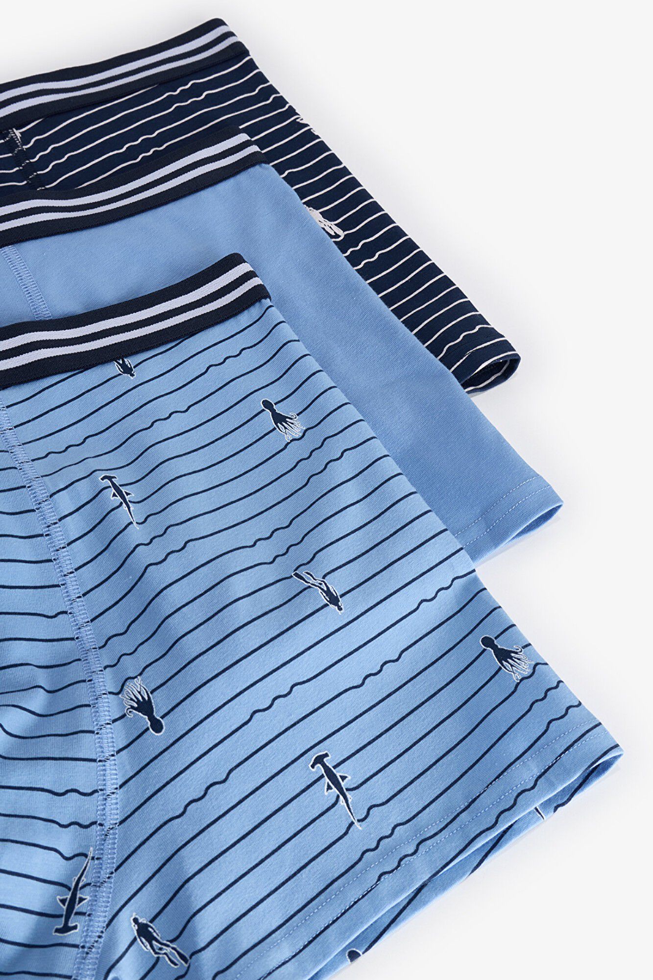 Penti Pack 3 boxers estampados azul marinho e azul celeste
