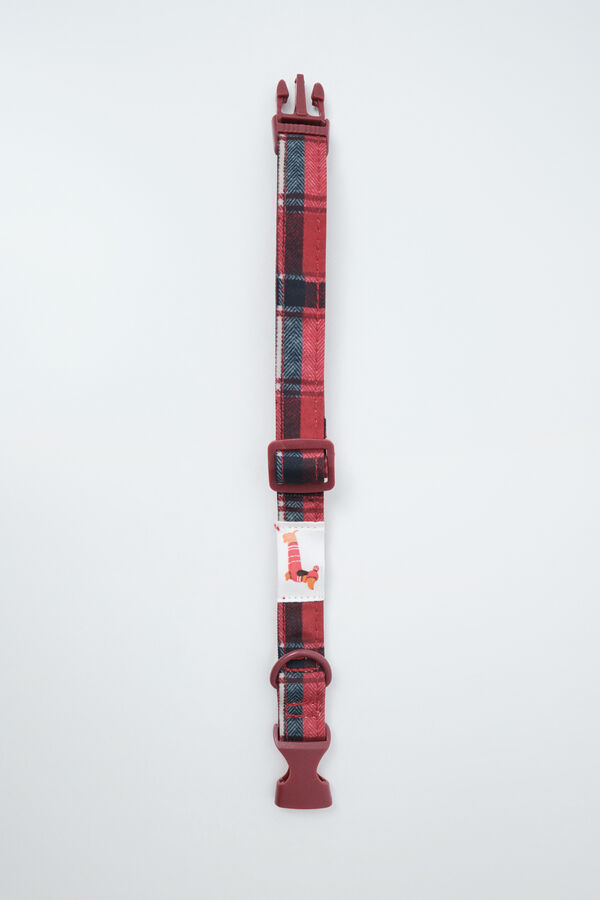 Women'secret Dog collar printed
