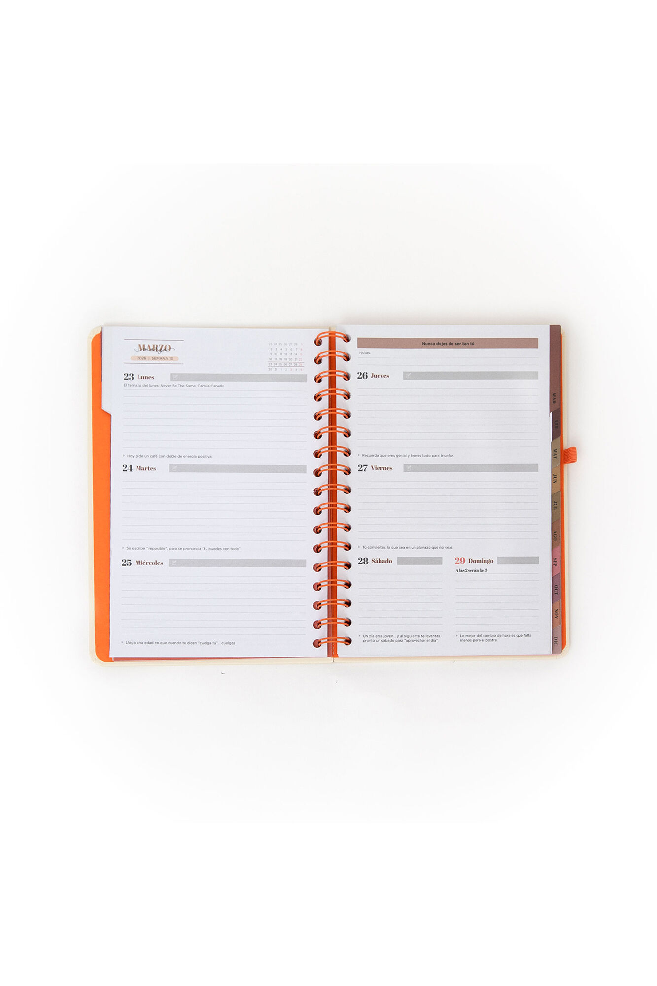 Mr. Wonderful Agenda Office 2026 Semanal - Sin reglas, solo actitud