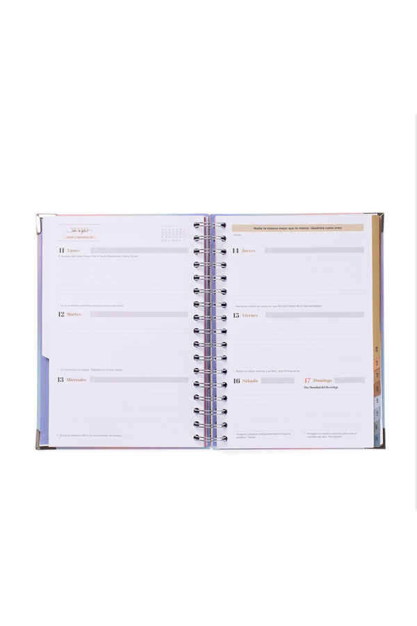 Mr. Wonderful Agenda do Escrit&oacute;rio 2025-26 Semanal 18 meses estampado