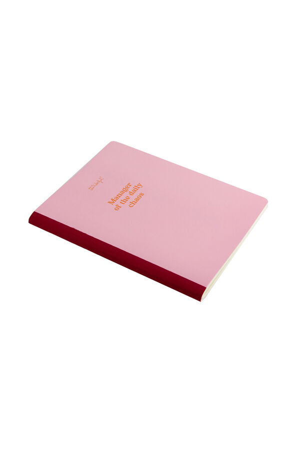 Mr. Wonderful A5 notebook - Manager of the daily chaos printed