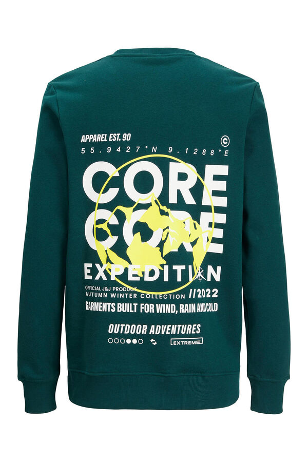 Womensecret Sweatshirt with print on the back vert