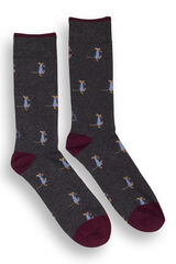 Kiff-Kiff Meias masculinas cinza cinzento