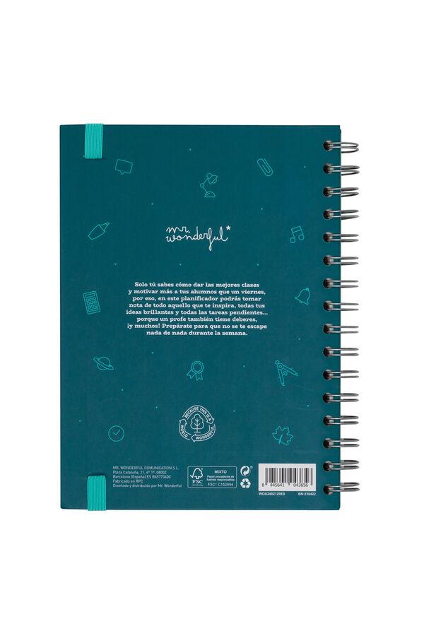 Mr. Wonderful Project planner-Profe 10, which is organised supertly Print