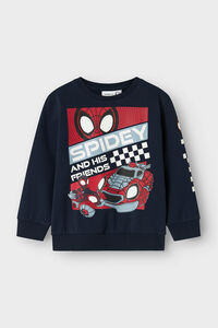 Name it Spidey sweatshirt 