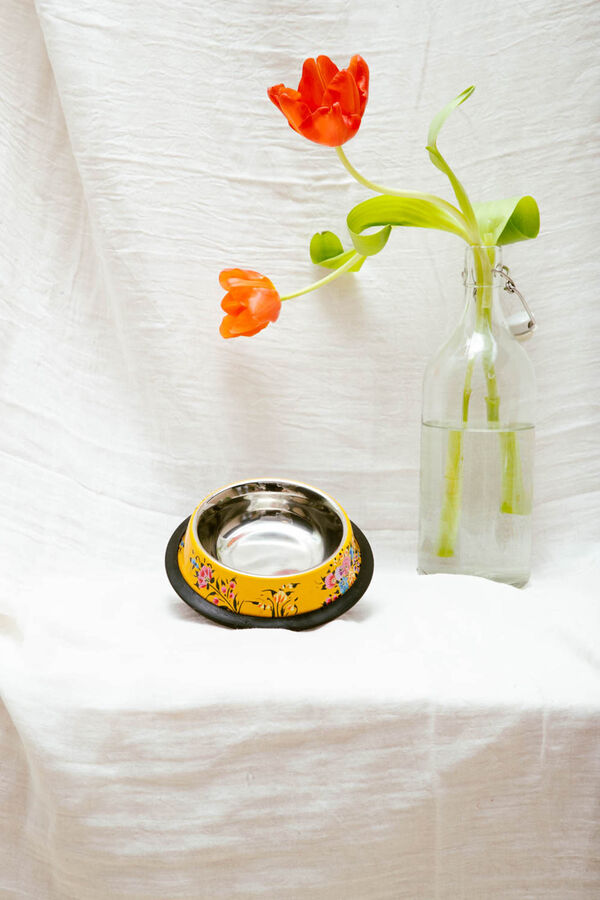 Calma House Frida yellow 17 x 17 x 3 cat bowl jaune