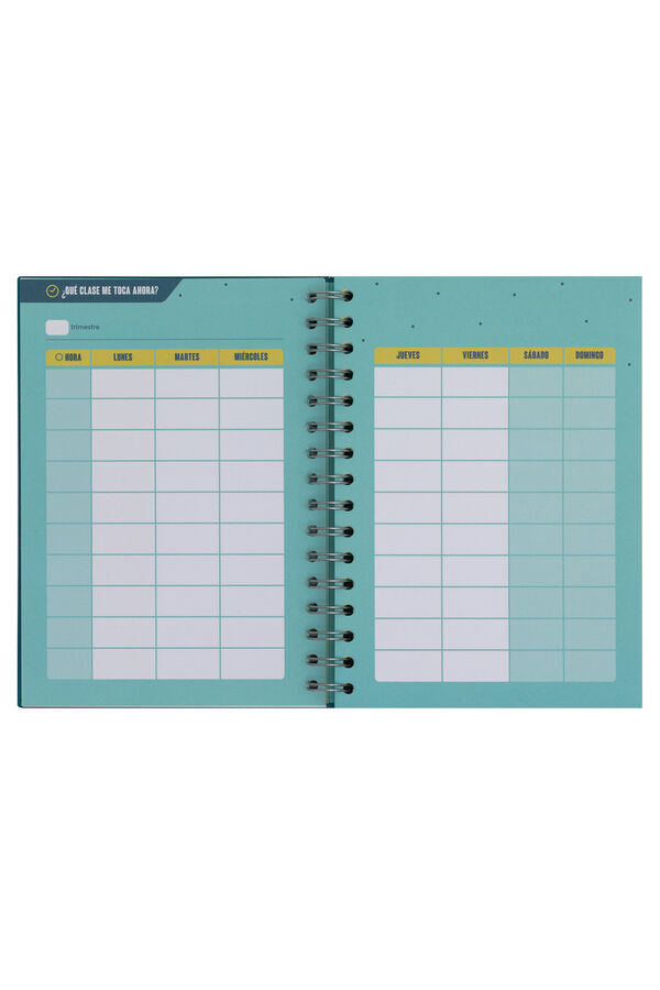 Mr. Wonderful Project planner-Profe 10, which is organised supertly Print