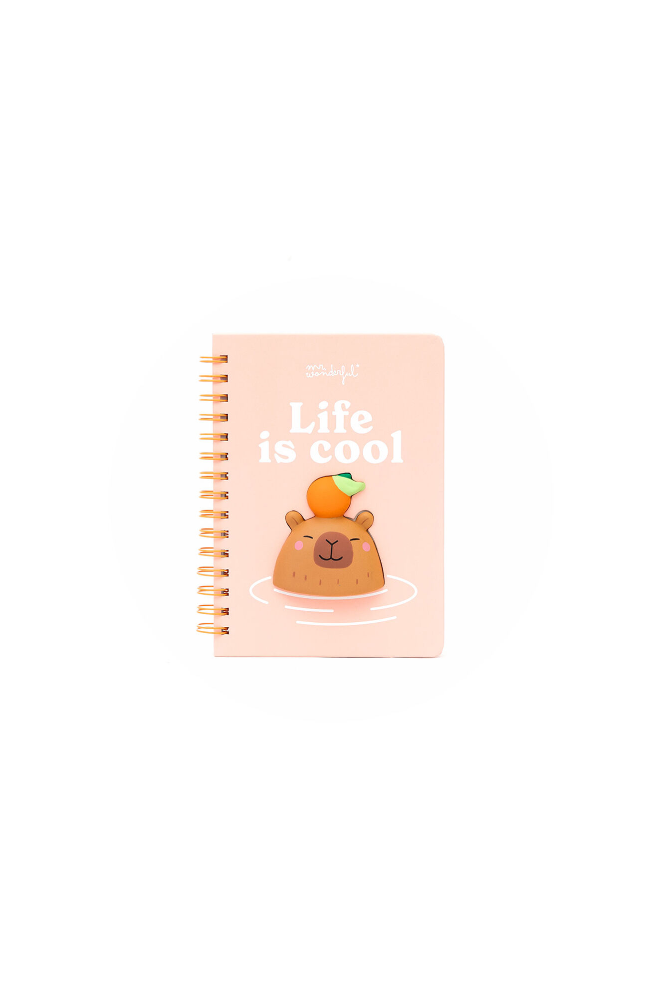 Mr. Wonderful Libreta A5 3D squishy capibara - Life is cool