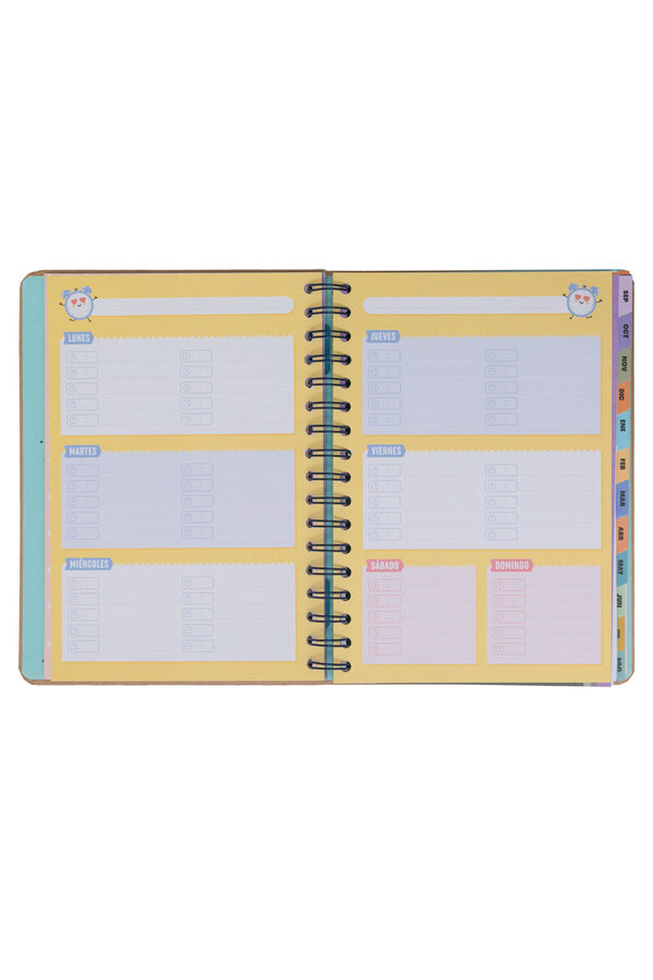 Mr. Wonderful Wonder Agenda 2024-2025 Weekly-Every week, with more enthusiasm printed