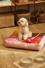 Calma House Pink pet cushion Buby 60x40x12 pink