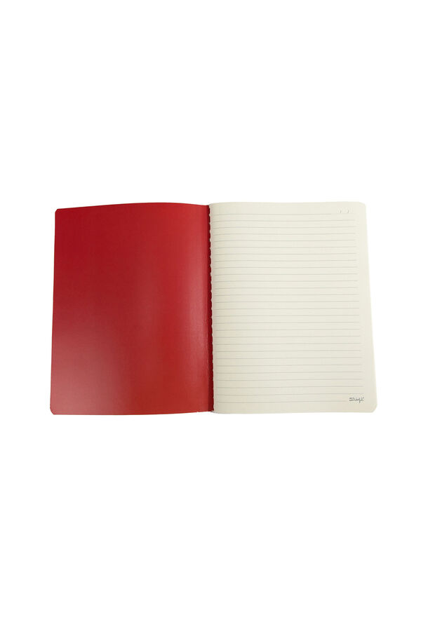 Mr. Wonderful A5 notebook - Manager of the daily chaos printed