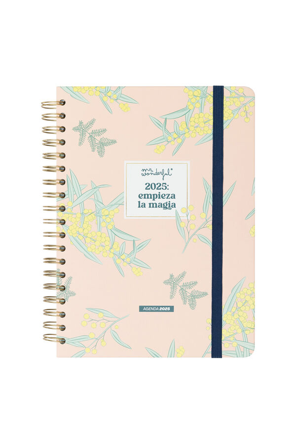 Mr. Wonderful Office 2025 Extra Large Weekly Diary - Let the magic begin printed