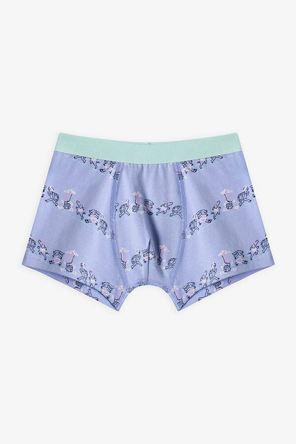 Penti Pack 3 boxers dino rayas azul