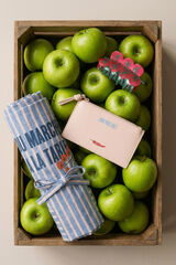 Womensecret Conjunto de pinza, monedero y delantal 