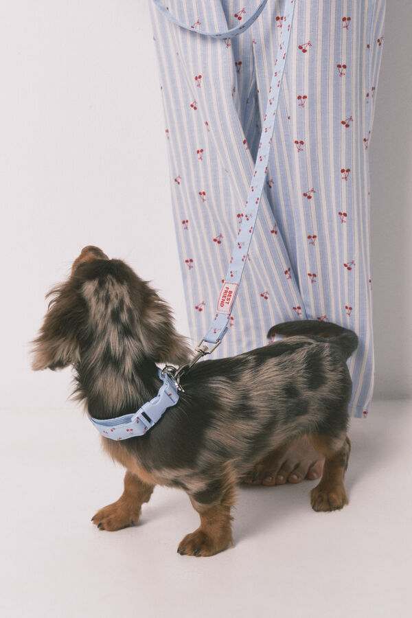 Womensecret Collar and leash set 